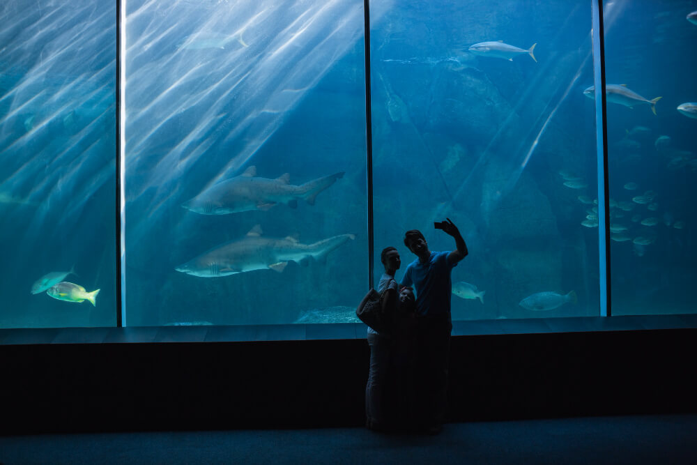 Oceanogràfic